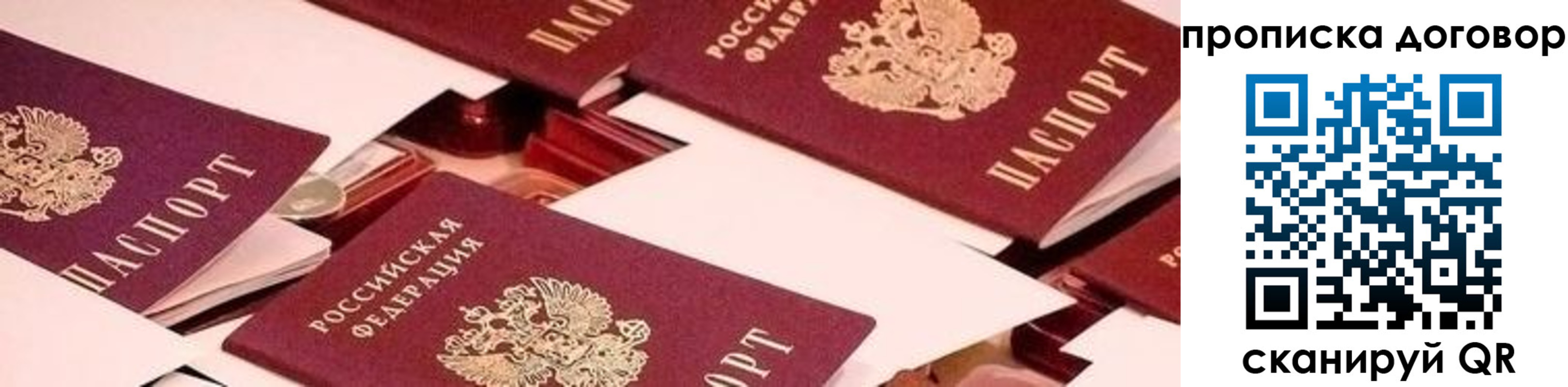 прописка 2025 в Судогде
